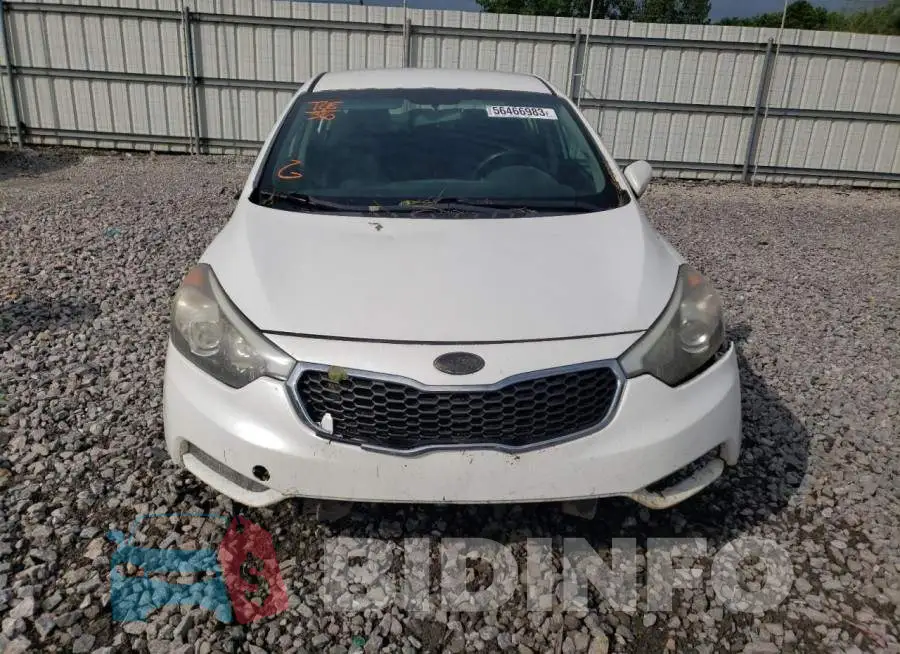 KNAFX4A64E5120617 Photo# 5