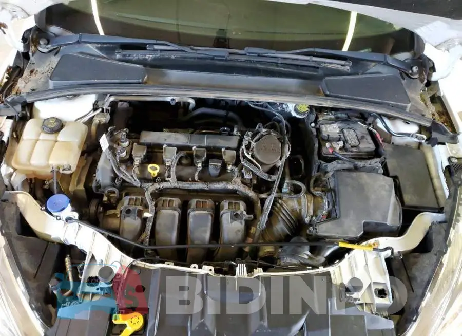 1FADP3K25GL217877 Photo# 11