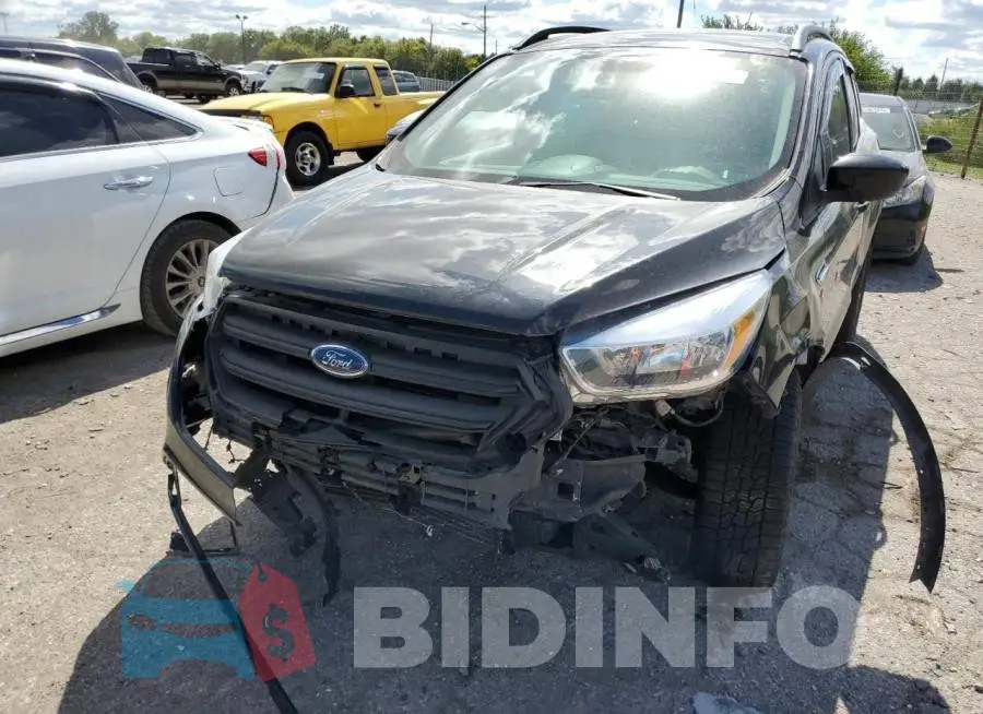 1FMCU9G99HUD70549 Photo# 9