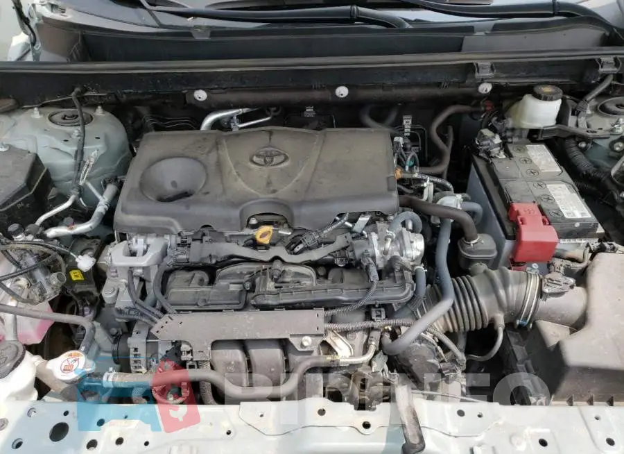 2T3P1RFV4NW250685 Photo# 11