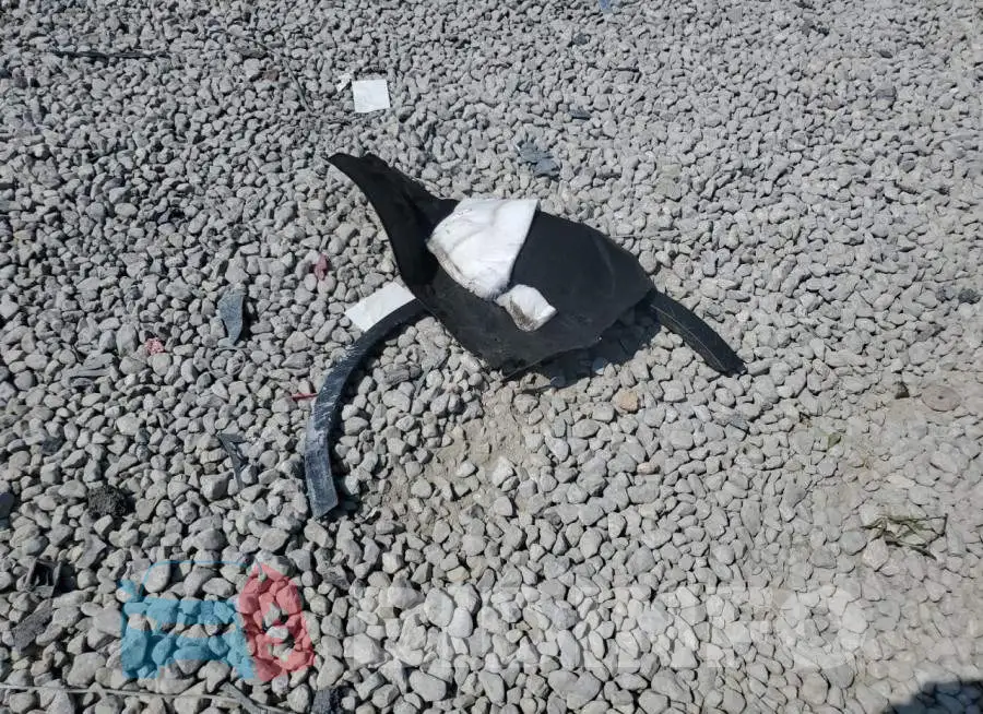 SADFT2GX6L1004363 Photo# 13