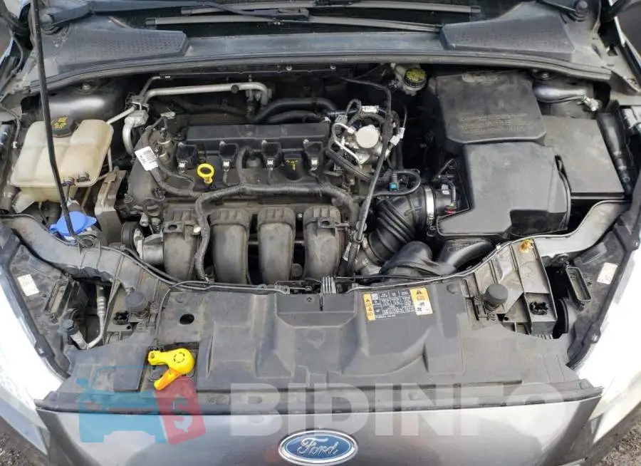 1FADP3F20GL364506 Photo# 11