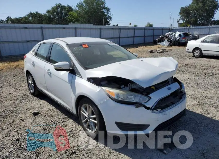 1FADP3F28GL322245 Photo# 4
