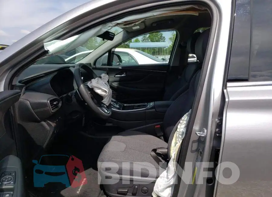 5NMS24AJ6MH343807 Photo# 7