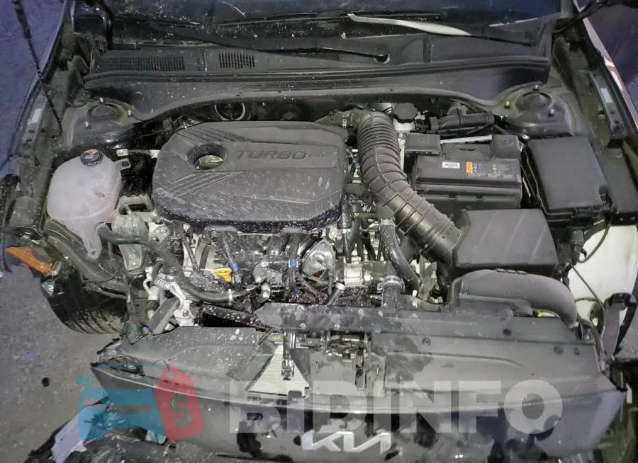 3KPF44AC3PE549272 Photo# 11
