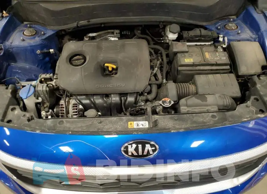 KNDERCAA3M7214577 Photo# 11