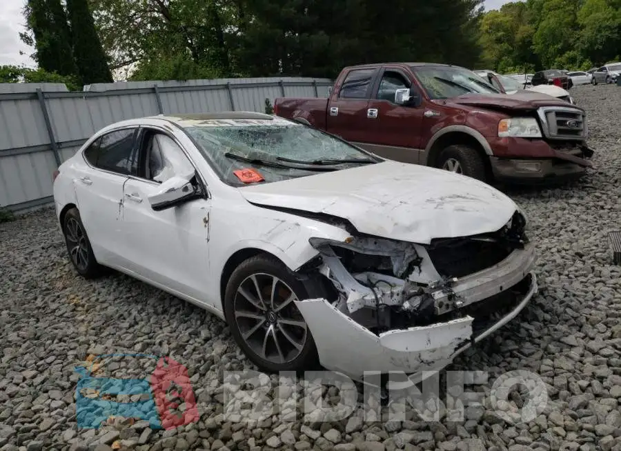 19UUB2F54GA008554 Photo# 4