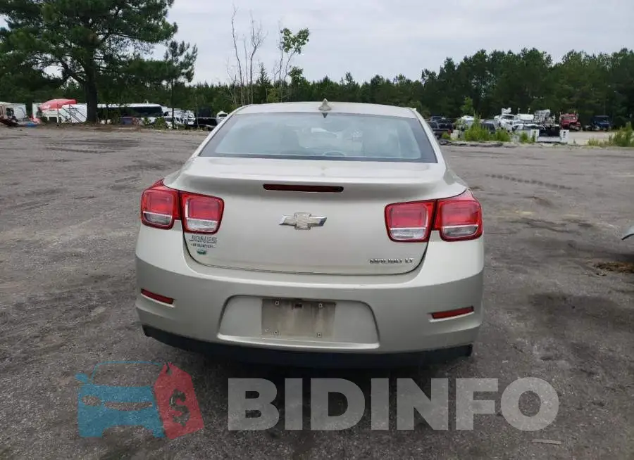 1G11D5SL3FF262784 Photo# 6