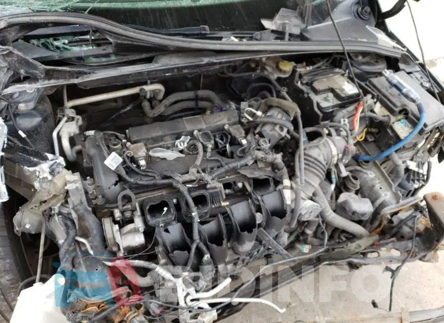 1FADP3K25FL295008 Photo# 11