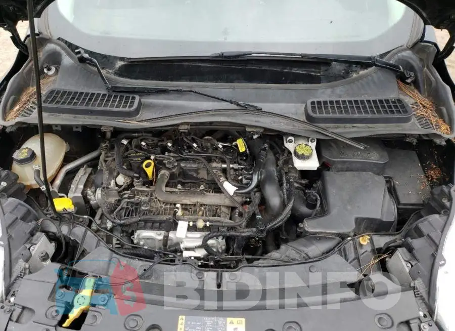 1FMCU0GD2HUB88658 Photo# 12
