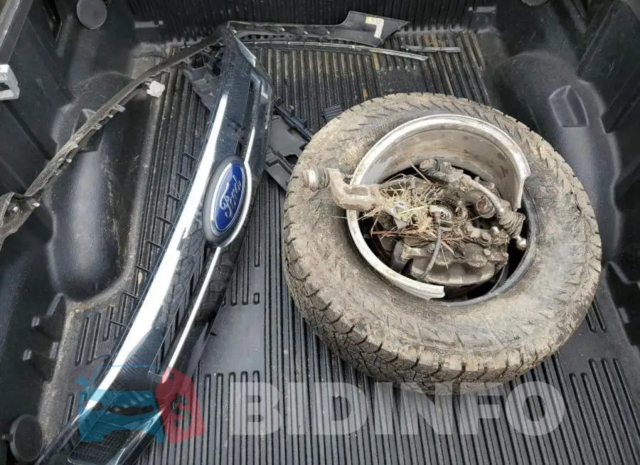 1FTEW1E51KKE99672 Photo# 12