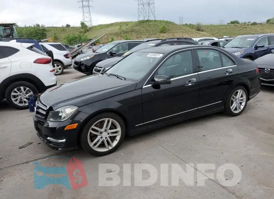 WDDGF8AB9EG239241 Photo# 1