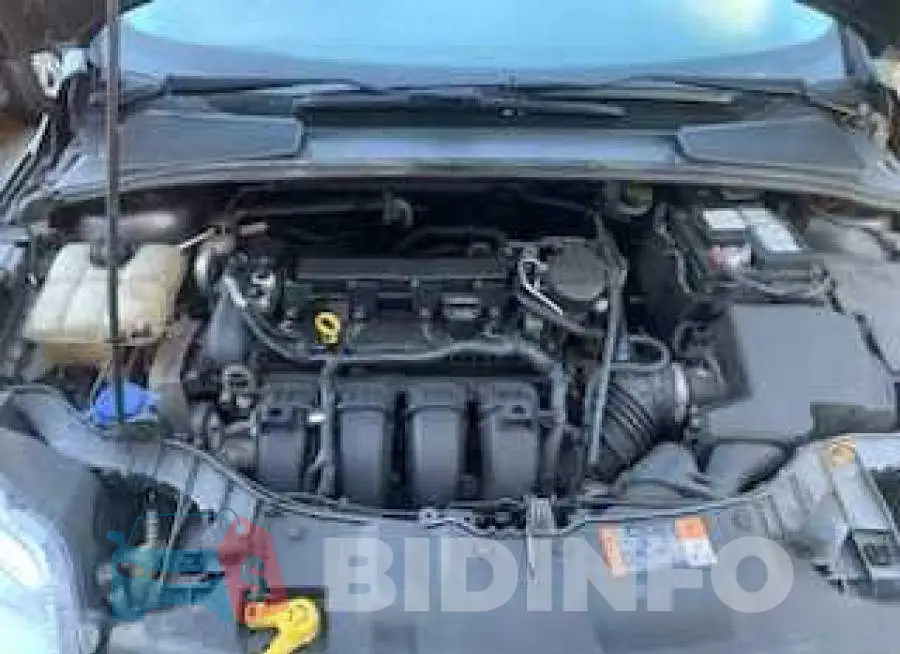 1FADP3F26EL351921 Photo# 7