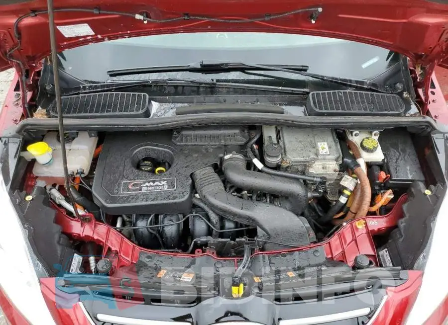 1FADP5CU2GL113262 Photo# 12
