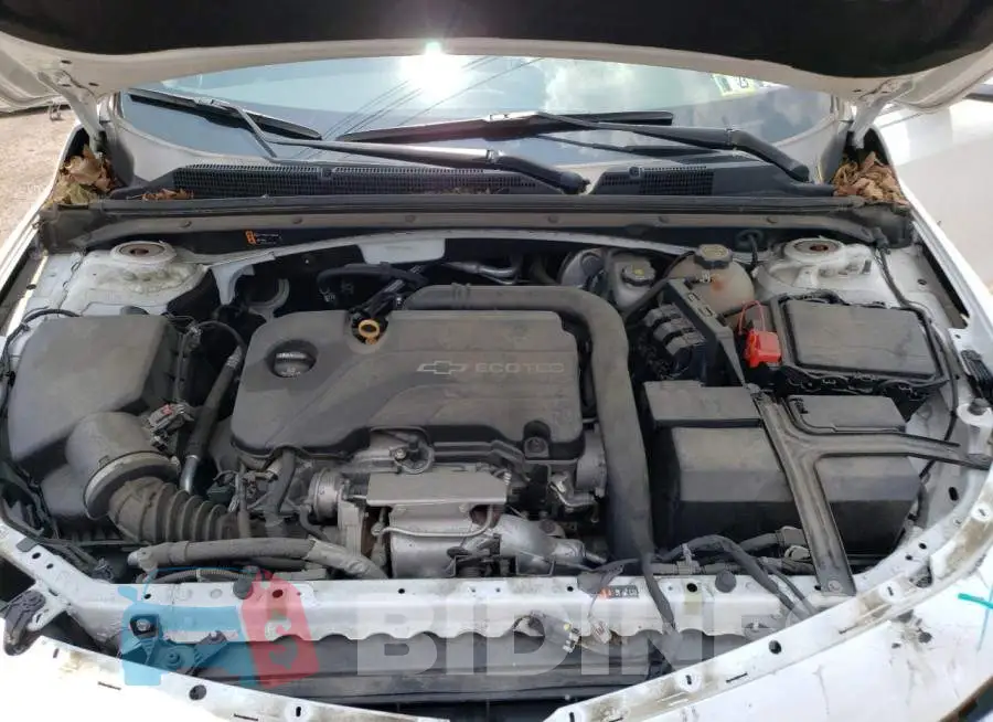 1G1ZE5ST1HF241841 Photo# 11
