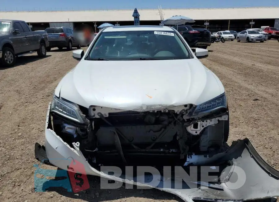 19UUB1F35FA010045 Photo# 5
