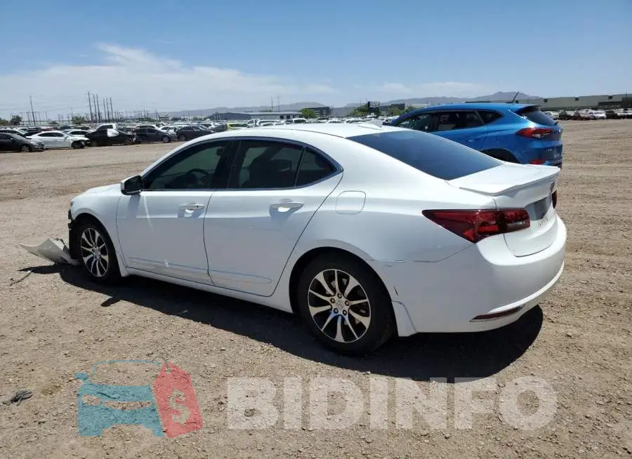 19UUB1F35FA010045 Photo# 2