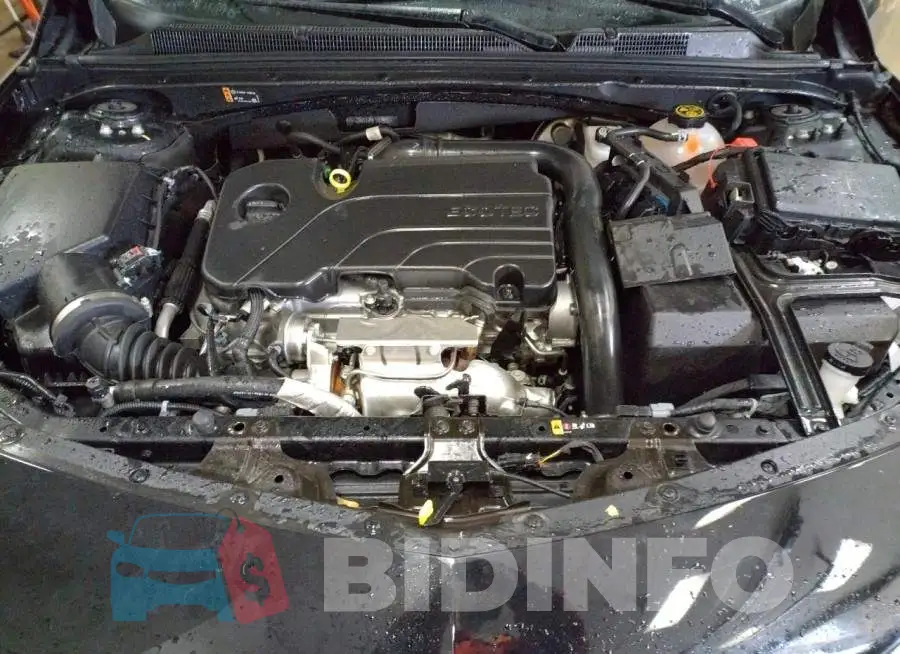 1G1ZD5ST3NF183536 Photo# 11
