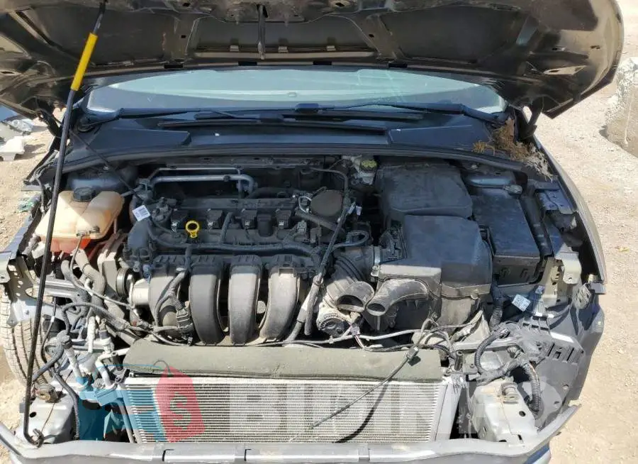 1FADP3E20GL237207 Photo# 11