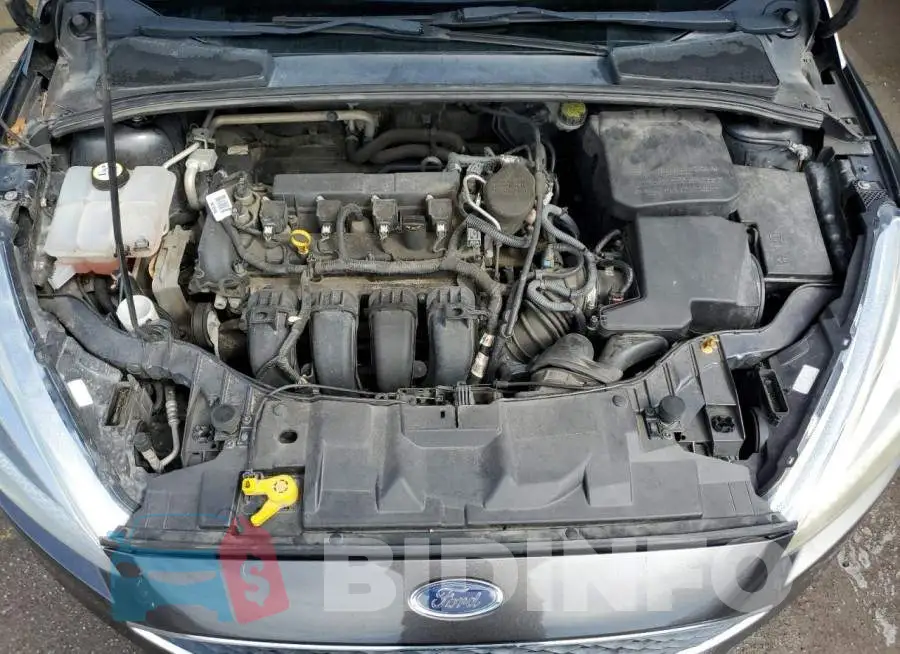 1FADP3E26GL315778 Photo# 7