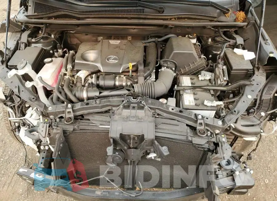 JTJGARDZ6M5030263 Photo# 12