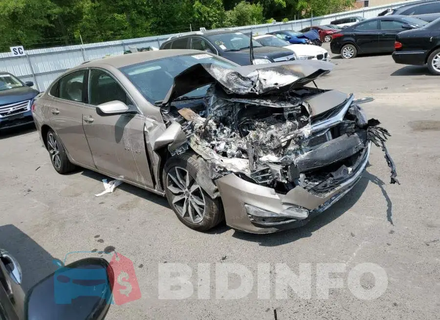 1G1ZG5ST8NF201018 Photo# 4