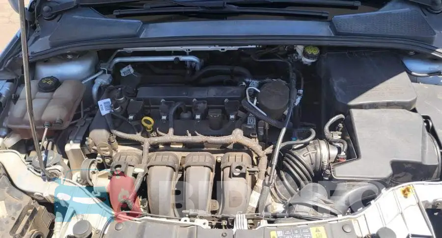 1FADP3F20GL258556 Photo# 7