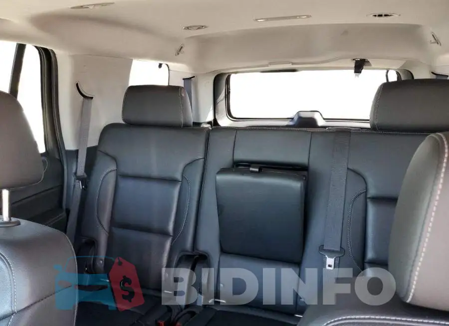 1GKS1BKC1LR256838 Photo# 10