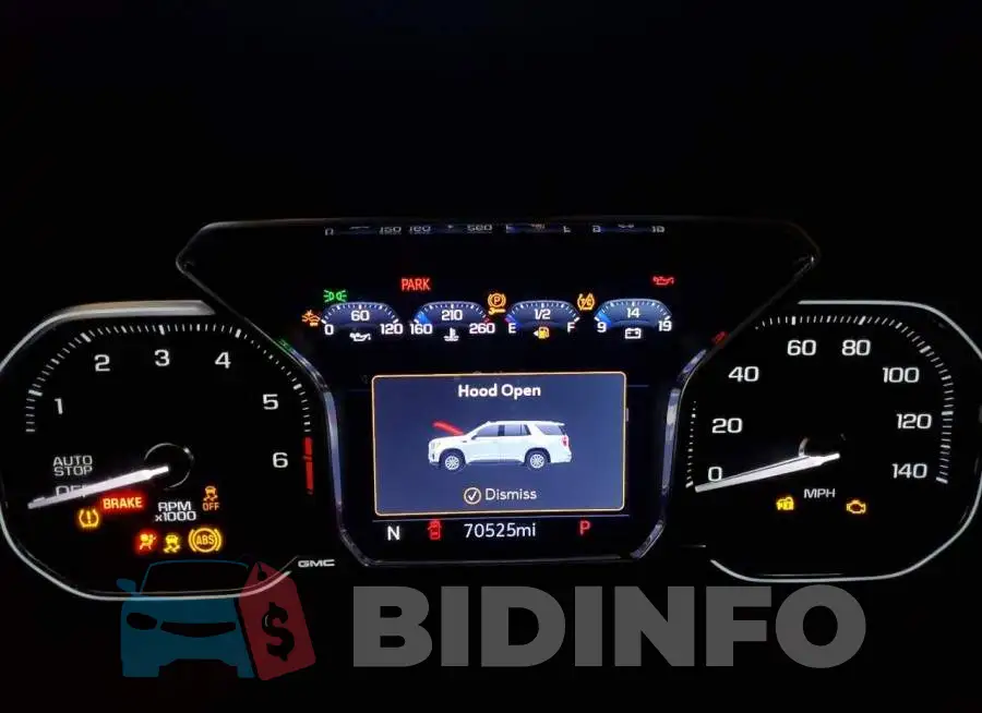 1GKS1BKD2MR249617 Photo# 9