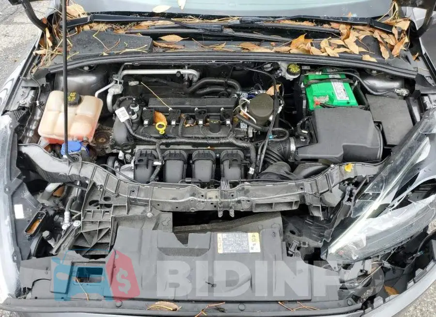1FADP3F29GL268440 Photo# 11