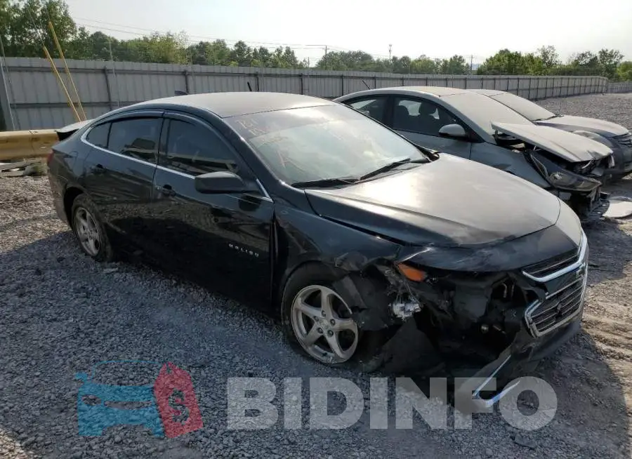 1G1ZB5ST3GF302453 Photo# 4