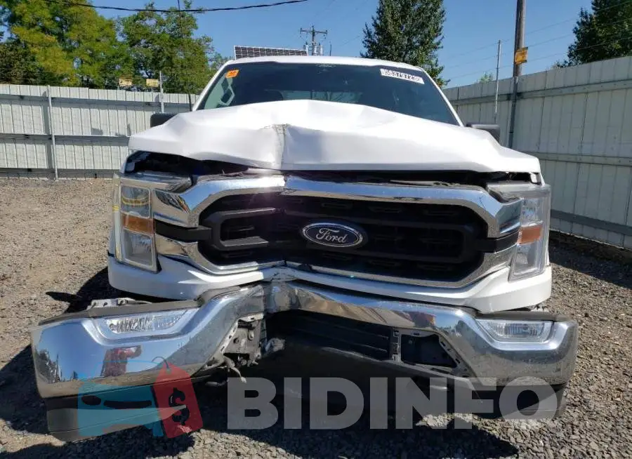 1FTEW1EB6MKD56919 Photo# 5