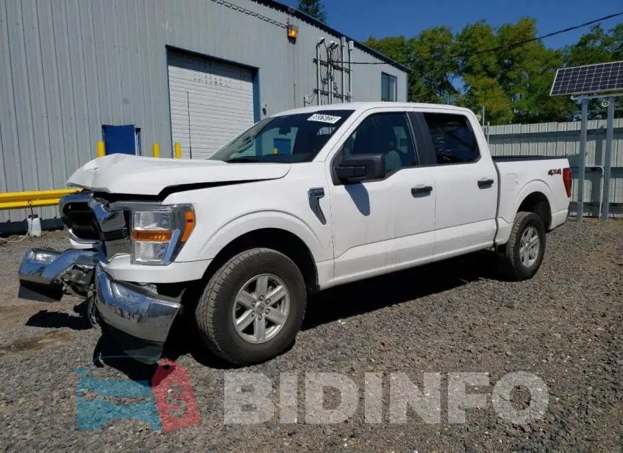1FTEW1EB6MKD56919 Photo# 1