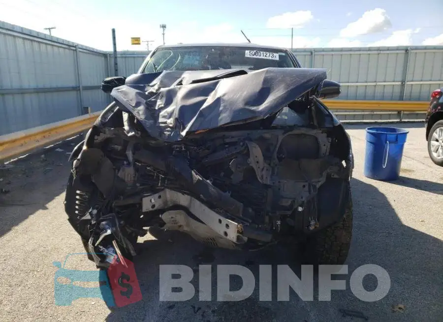 JTEBU5JR7G5318343 Photo# 5