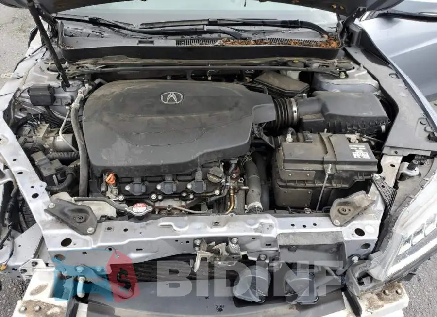 19UUB2F59FA019953 Photo# 11