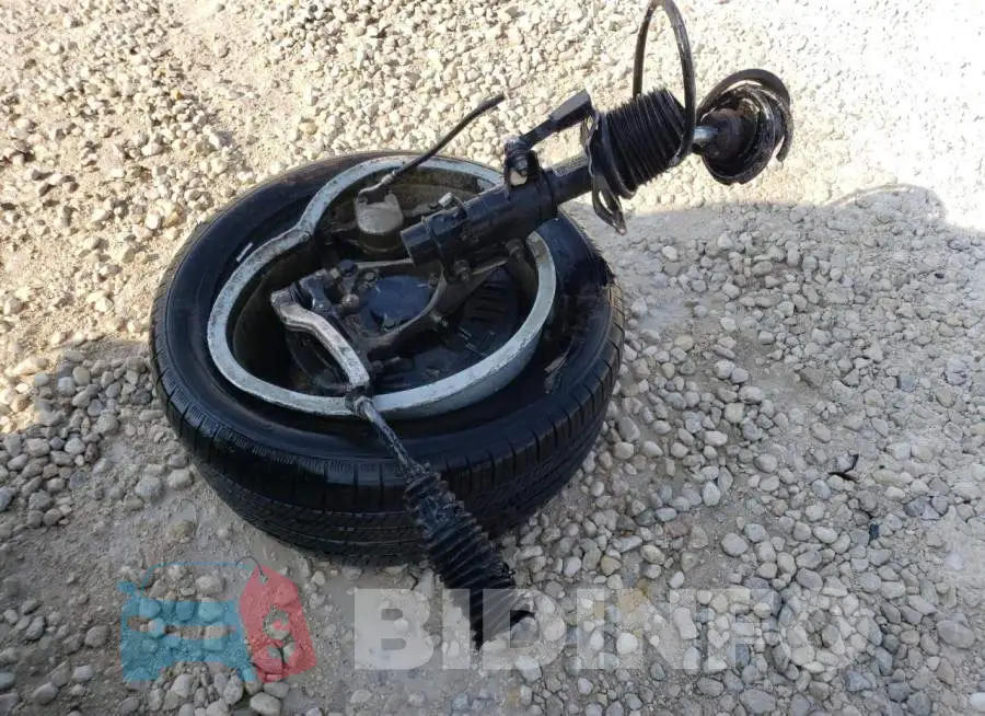 1G1FB1RS3J0131657 Photo# 12