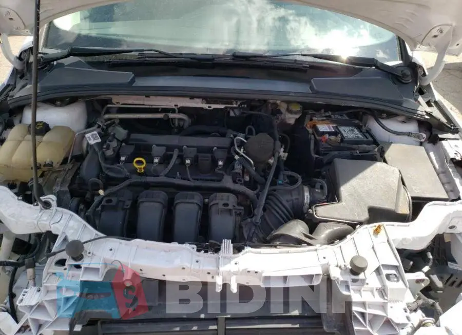 1FADP3E21GL243789 Photo# 11