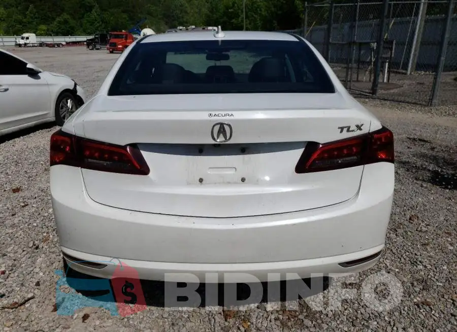 19UUB1F30GA011122 Photo# 6
