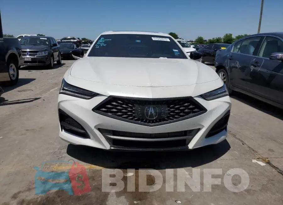 19UUB5F55MA002016 Photo# 5
