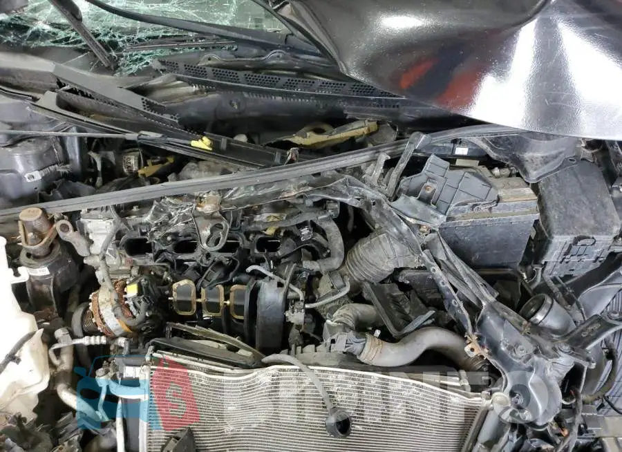 KNAFX4A84E5128251 Photo# 11