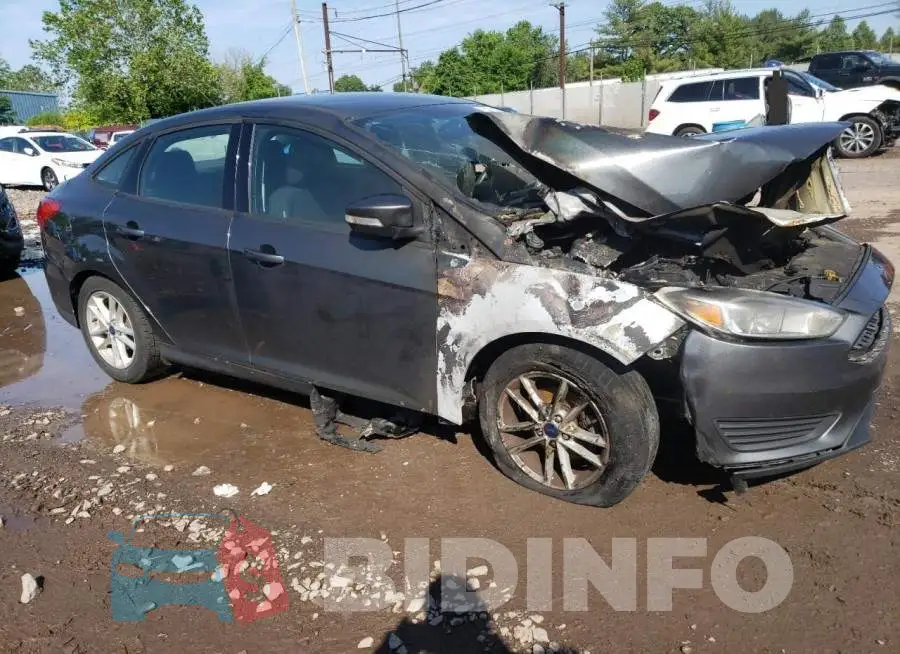 1FADP3F24GL347787 Photo# 4