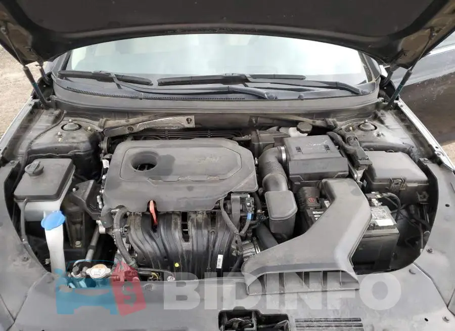 5NPE24AF0KH797513 Photo# 11