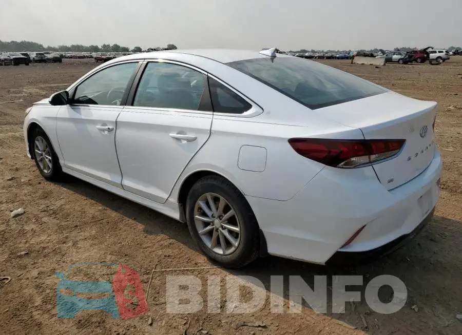 5NPE24AF7KH761298 Photo# 2