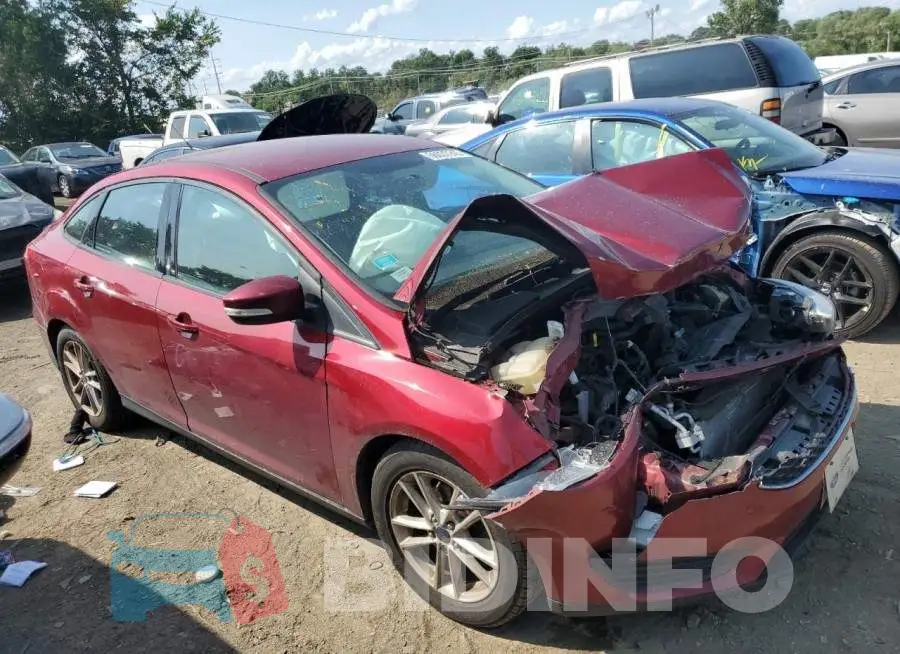 1FADP3F28GL240631 Photo# 4