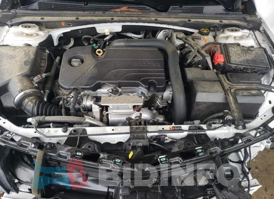 1G1ZD5ST1JF288781 Photo# 11