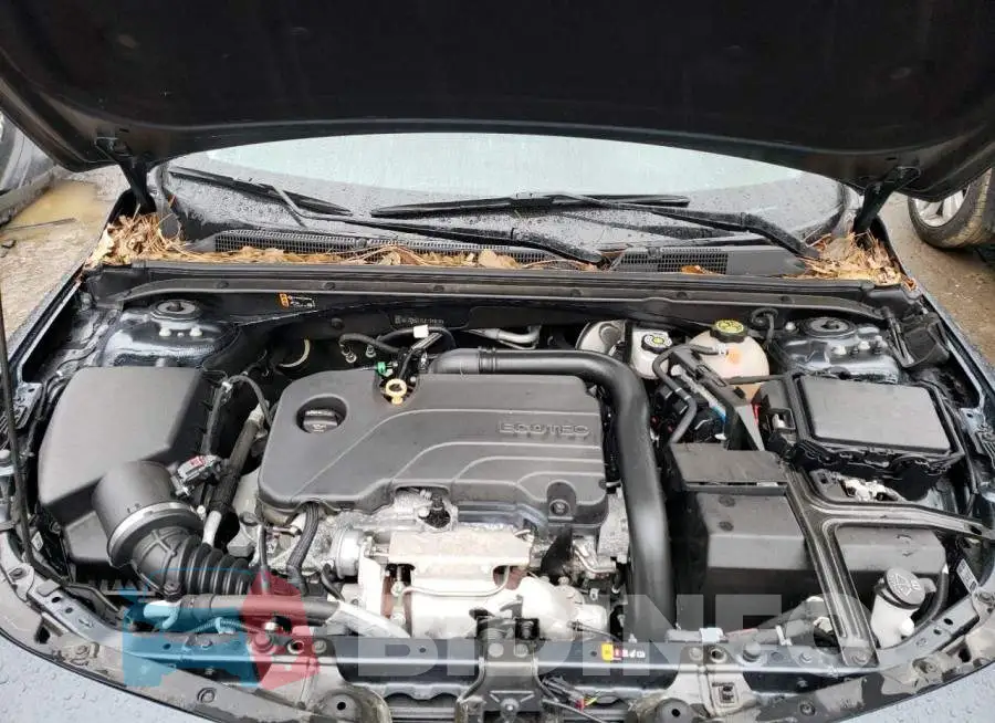 1G1ZD5ST7LF104818 Photo# 11