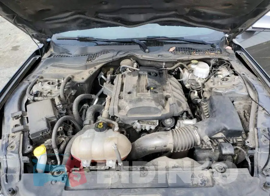 1FA6P8TH4J5172791 Photo# 11