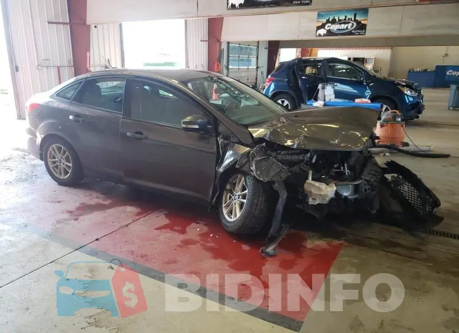 1FADP3F24FL383381 Photo# 4
