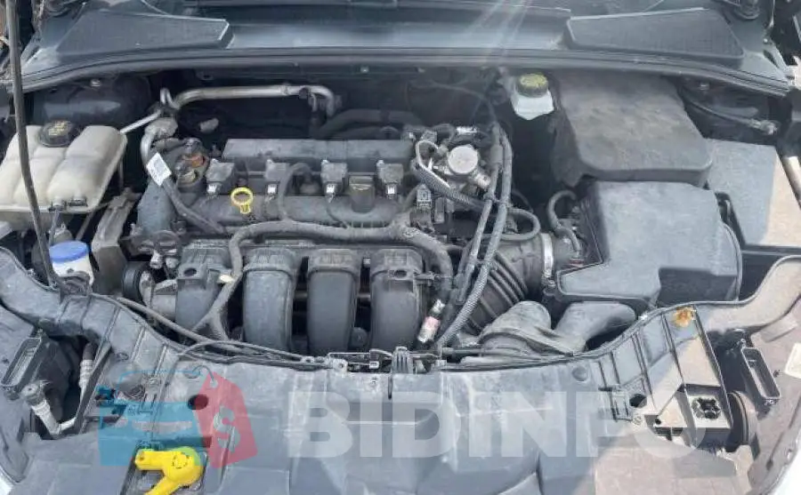 1FADP3F26HL242850 Photo# 7