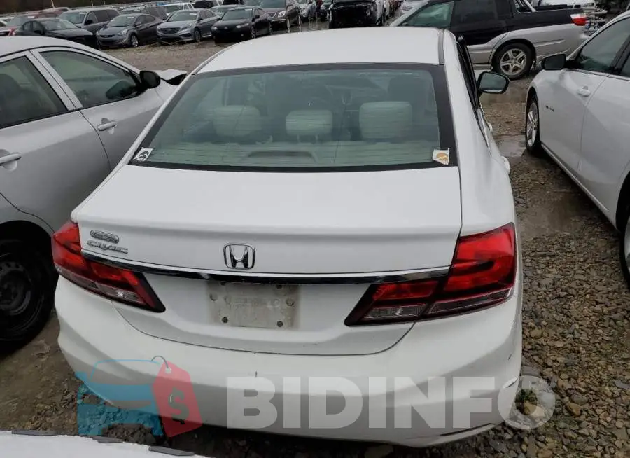 19XFB2F53FE120636 Photo# 6